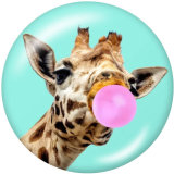 Painted metal 20mm snap buttons  animal Print