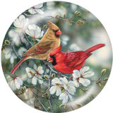 Painted metal 20mm snap buttons  bird  Print