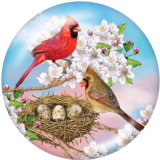 Painted metal 20mm snap buttons  bird  Print