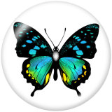 Painted metal 20mm snap buttons  butterfly Print