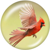 Painted metal 20mm snap buttons   bird  Print