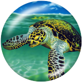 Painted metal 20mm snap buttons Beach Ocean sea turtle Print