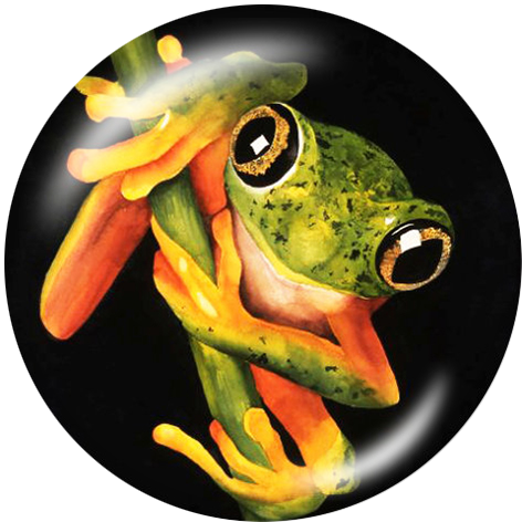 Painted metal 20mm snap buttons  frog Print