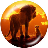 Painted metal 20mm snap buttons   The Lion King Print