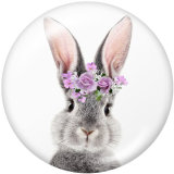 Painted metal 20mm snap buttons   rabbit Print