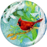 Painted metal 20mm snap buttons   Hummingbird   Print