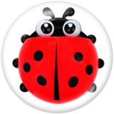 Painted metal 20mm snap buttons  Ladybug Print