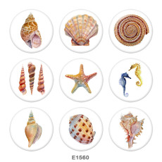 Painted metal 20mm snap buttons  Shell   Print Beach Ocean