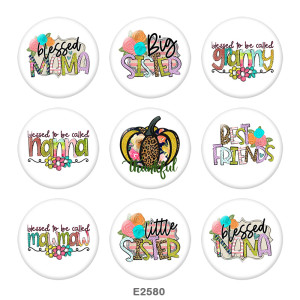 Painted metal 20mm snap buttons   Family  granny Print