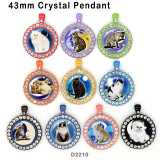 10pcs/lot  Cat   glass  picture printing products of various sizes  Fridge magnet cabochon