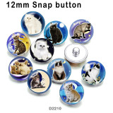 10pcs/lot  Cat   glass  picture printing products of various sizes  Fridge magnet cabochon