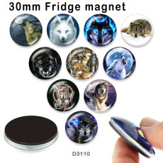 10pcs/lot  Fox  glass  picture printing products of various sizes  Fridge magnet cabochon