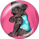 Dog The mobile phone holder Painted phone sockets with a black or white print pattern base