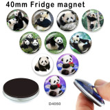 10pcs/lot  panda  glass  picture printing products of various sizes  Fridge magnet cabochon