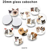 10pcs/lot Cat  Dog  glass  picture printing products of various sizes  Fridge magnet cabochon