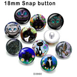 10pcs/lot  Cat  glass  picture printing products of various sizes  Fridge magnet cabochon