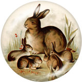 20MM  rabbit  bird  Flower  Print   glass  snaps buttons