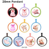 10pcs/lot  pig  glass  picture printing products of various sizes  Fridge magnet cabochon