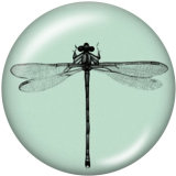 20MM  frog  Dragonfly  Cross   Elves  Flowe  Print   glass  snaps buttons