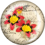 20MM  Flower  Butterfly   Print   glass  snaps buttons