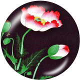 20MM   Flower  Butterfly  peacock   Print   glass  snaps buttons