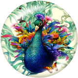 20MM   Flower   bird  peacock   Print   glass  snaps buttons