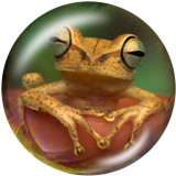 20MM  love  mandala   frog  Print   glass  snaps buttons