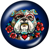 20MM  Dog   skull  Print   glass  snaps buttons
