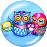 20MM  Cartoon  Owl  Print   glass  snaps buttons
