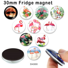 10pcs/lot  Flamingo   glass  picture printing products of various sizes  Fridge magnet cabochon