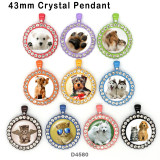 10pcs/lot  Cat  Dog  glass picture printing products of various sizes  Fridge magnet cabochon