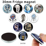 10pcs/lot   Dreamcatcher  wolf  glass picture printing products of various sizes  Fridge magnet cabochon