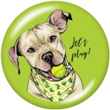 20MM lets Play  Dog  Print   glass  snaps buttons