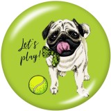 20MM lets Play  Dog  Print   glass  snaps buttons