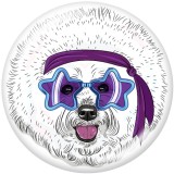 20MM  Dog  Print   glass  snaps buttons