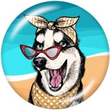 20MM   Dog  Print   glass  snaps buttons Beach Ocean