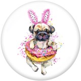 20MM  Dog  Print   glass  snaps buttons