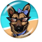 20MM   Dog  Print   glass  snaps buttons Beach Ocean