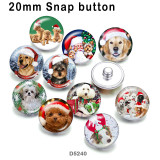 10pcs/lot  Christmas  Cat Dog  glass picture printing products of various sizes  Fridge magnet cabochon