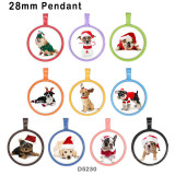 10pcs/lot  Cat Dog  glass picture printing products of various sizes  Fridge magnet cabochon