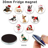 10pcs/lot  Cat Dog  glass picture printing products of various sizes  Fridge magnet cabochon