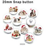 10pcs/lot  Cat Dog  glass picture printing products of various sizes  Fridge magnet cabochon