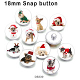 10pcs/lot  Cat Dog  glass picture printing products of various sizes  Fridge magnet cabochon