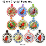 10pcs/lot  bird  glass picture printing products of various sizes  Fridge magnet cabochon