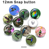 10pcs/lot  Hummingbird  glass picture printing products of various sizes  Fridge magnet cabochon