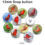 10pcs/lot  bird  glass picture printing products of various sizes  Fridge magnet cabochon
