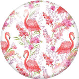 20MM  Flamingo  Print   glass  snaps buttons LOVE