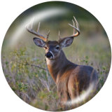 20MM  Deer  Print   glass  snaps buttons