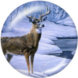 20MM  Deer  Print   glass  snaps buttons