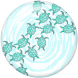 20MM  sea turtle   Print   glass  snaps buttons Beach Ocean